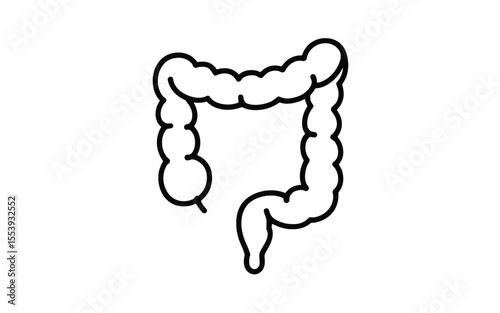 Simple outline icon of the human colon and large intestine