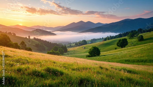 Sunrise Over Misty Mountain Meadow Landscape