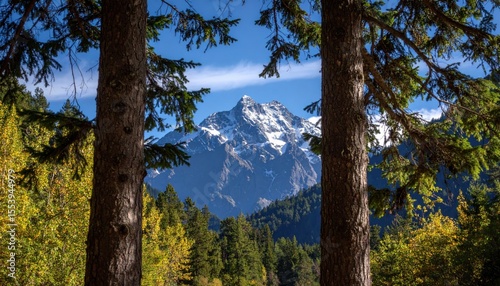 Mountain View Through Pine Trees