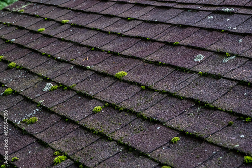 Weathered Asphalt Roof Shingles with Moss and Lichen Growth
