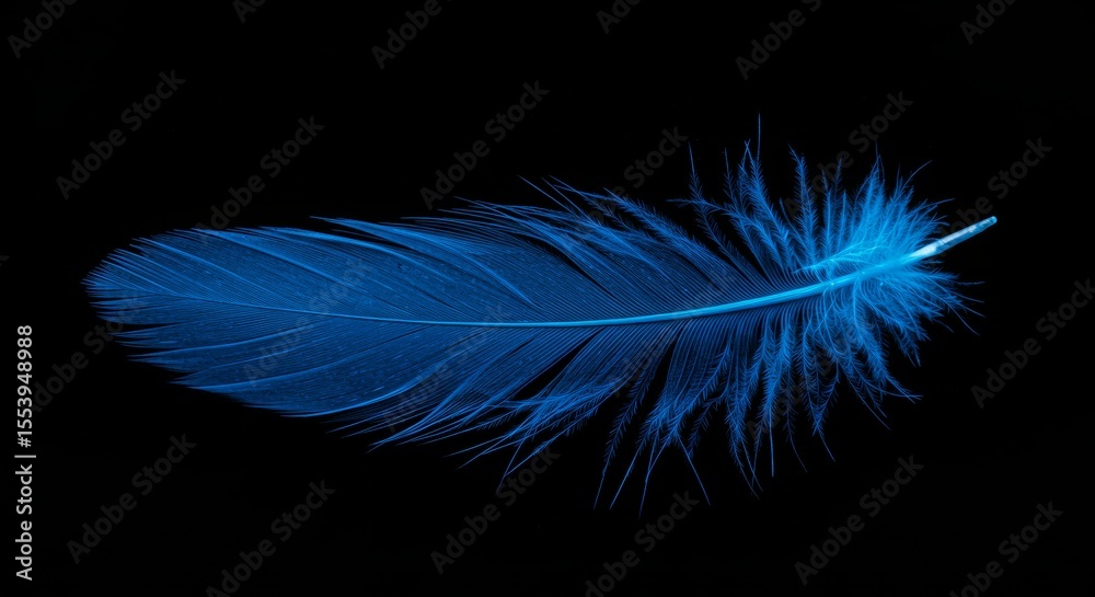 Naklejka premium Captivating Blue Feather Isolated on a Dark Backdrop Showcasing Intricate Texture