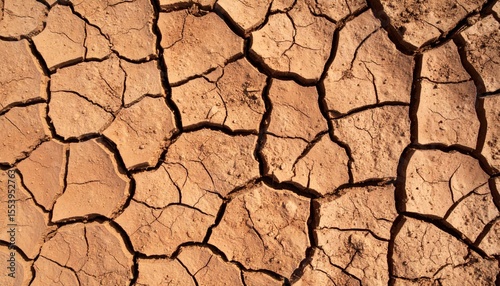 Cracked Earth Texture