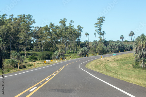 Paisaje natural en ruta con curva