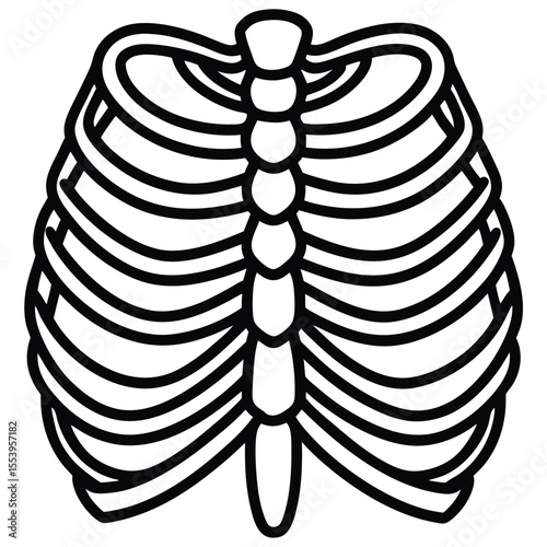 Detailed line art illustration of a human rib cage scan in black and white