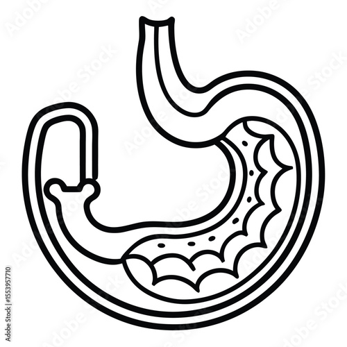 Simple black and white line art icon representing the human stomach organ