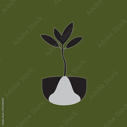 plant in a pot