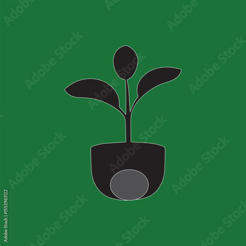 plant in a pot