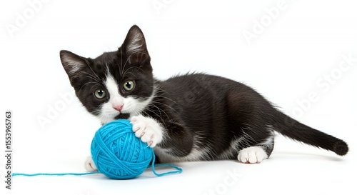 Playful Tuxedo Kitten with Green Eyes Playing with Blue Yarn Ball Isolated by White Screen