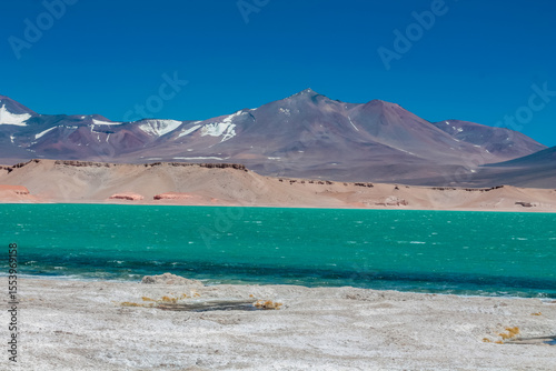 Quadro su tela Laguna Verde green lake in Atacama desert, Chile