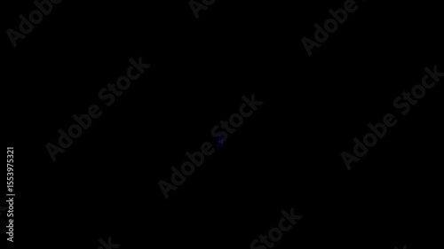 A minimal loading icon, typically illustrated as a spinning circle, dots, or progress bar. Loading Circle, Video. Loading Animation Icon on Transparent Background. Download Progress, loader animation.