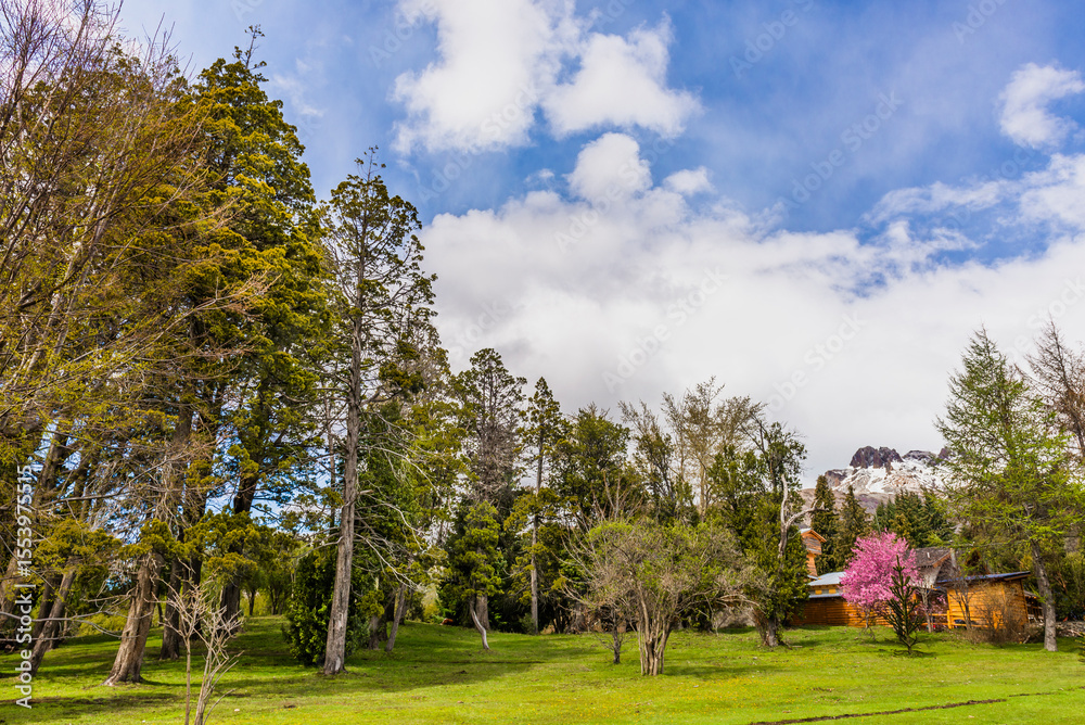 Obraz premium Villa Traful, Neuquen, Andean Patagonia, Argentina.