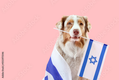 Cute dog with flags of Isra...
