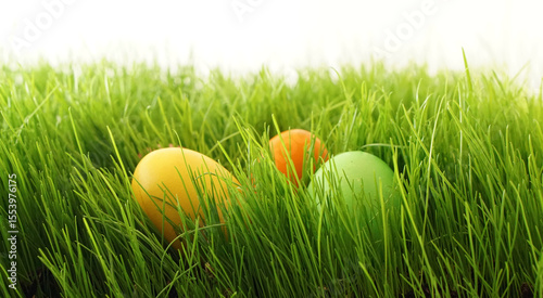 colorful easter eggs hidden...