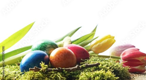easter eggs with tulips on ...