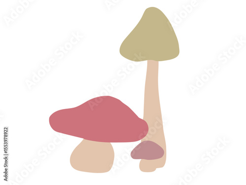 きのこ 主線なし