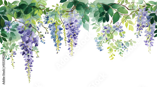 Watercolor illustration of cascading wisteria flowers and lush green leaves, ideal for spring-themed designs, wedding invitations, or elegant botanical decor.