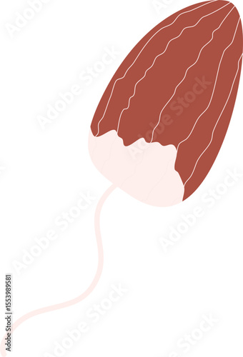 Menstrual Tampon