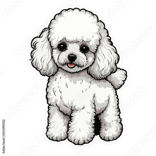 Cute white poodle dog standing with a happy expression  
