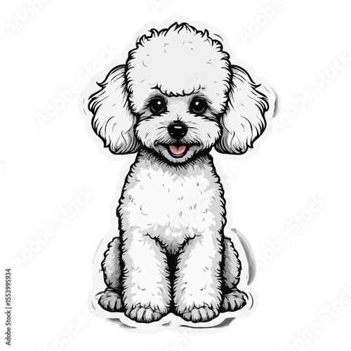 Cute white poodle dog sitting with a happy expression  
