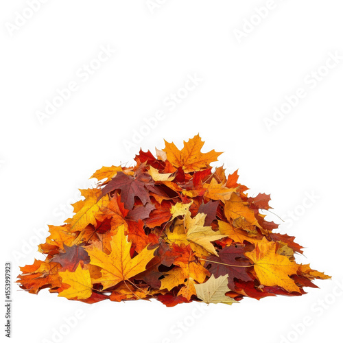 Pile of colorful autumn maple leaves isolated on transparent background