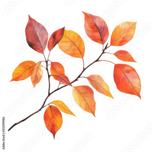 Watercolor autumn branch with vibrant red and orange leaves isolated on transparent background