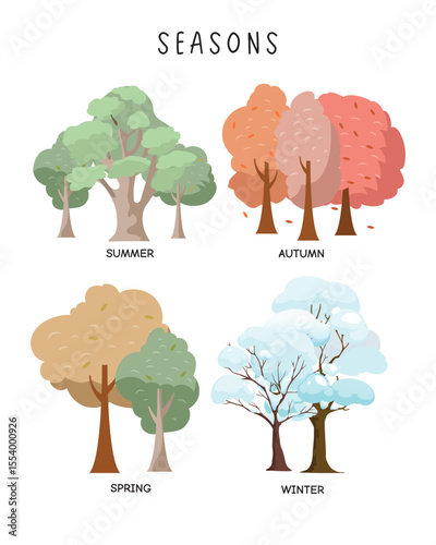 Seasons of the Year – Educational Tree Illustration for Kids. Illustrated chart of the four seasons showing trees in spring, summer, autumn, and winter. Perfect for kids’ learning and classroom decor