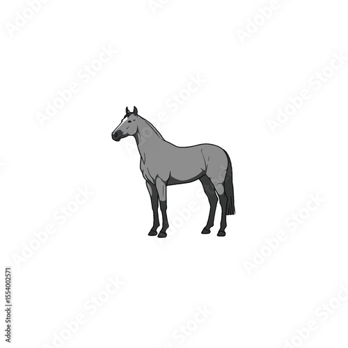 horse silhouette vector, pony, horse, animal, farm, isolated, white, horses, pet, art, black, illustration
