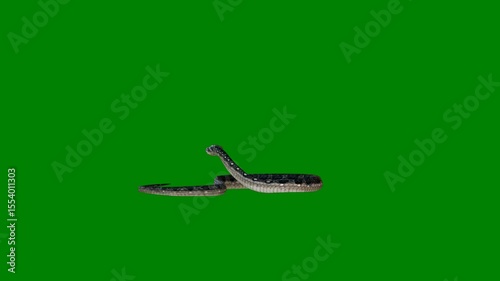 A black and white snake on green screen animated chromakey background frame layers movement depth figure emotion motion design colorful cartoonish scene backgrounds composition gesture