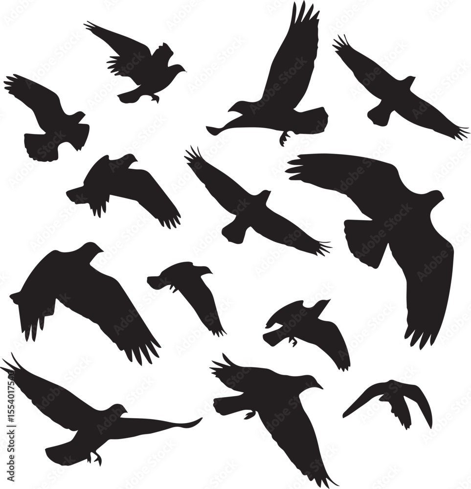 Obraz premium Abstract Black Bird Silhouettes in Various Flying Poses Vector