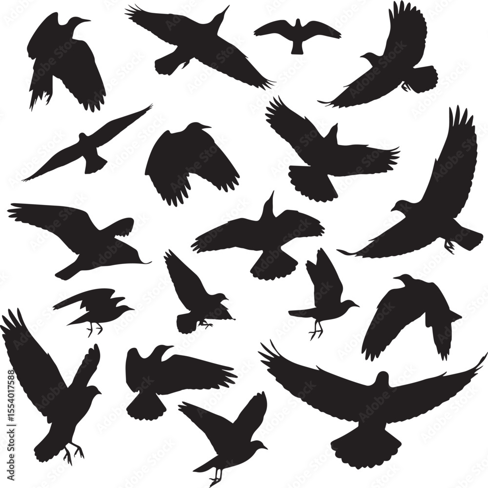 Obraz premium Abstract Black Bird Silhouettes in Various Flying Poses Vector