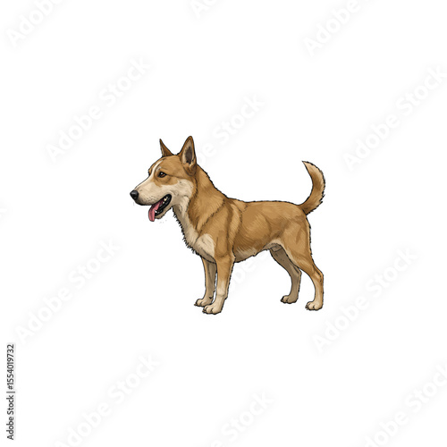 golden retriever dog isolated, dog, animal, pet, puppy, white, isolated, cute, brown, portrait, domestic, animals