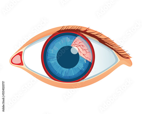 Frontal View of Human Eye Blue