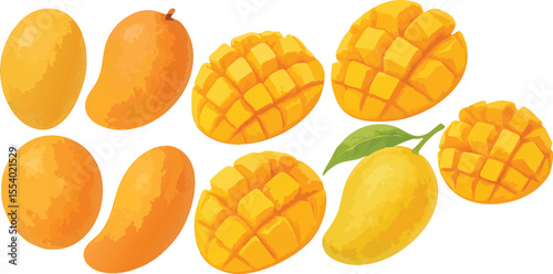 Hand-Painted Watercolor Mango Fruit Collection Whole and Sliced Tropical Fruit Isolated on Transparent Background for Packaging, Labeling, and Culinary Design | Generative AI