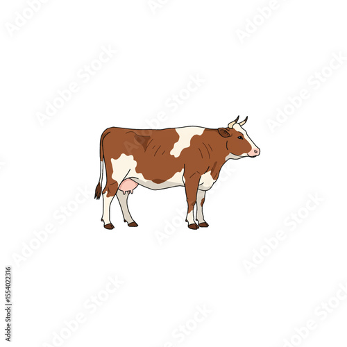 cow with horns, cow, animal, farm, cattle, brown, field, agriculture, white, meadow, mammal, pasture, cows, animals, dairy, nature, milk
