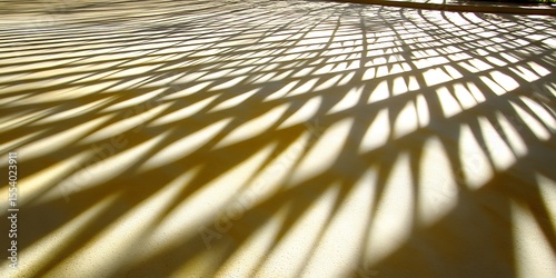 Intricate interplay of shadows cast across a sun-drenched surface