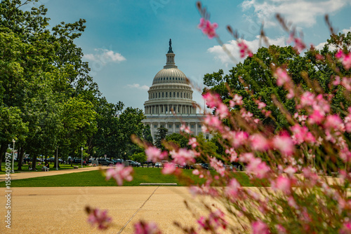 Historic Capitol by the national flag. Capitol building. USA symbol. U.S. Senate. American capital city. Washington DC. Capitol dome as a symbol of law. Capitol on a sunny day.