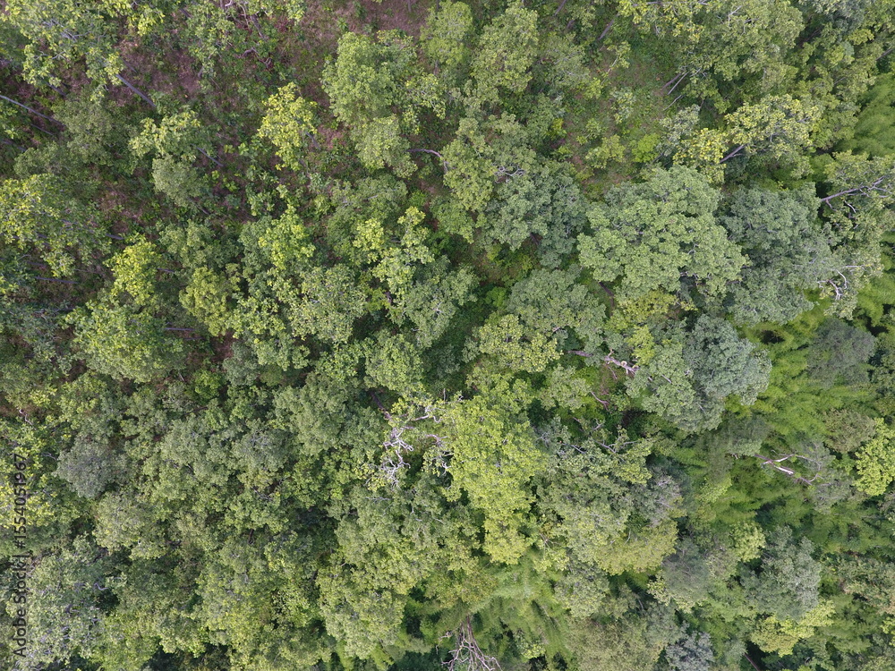 Naklejka premium Top View Aerial Photograph