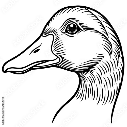 Detailed black and white line art illustration of a duck s head in profile