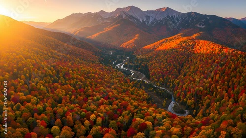 Aerial View of a Vibrant Autumn Forest with Mountains a River and Golden Sunset Sunlight