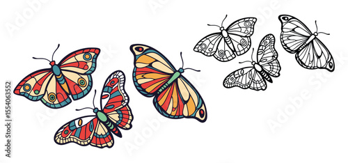 An illustration of beautiful multicolored butterflies with different patterns set against a white background