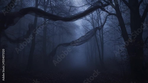 Mysterious foggy forest with flowing fabric and dark trees