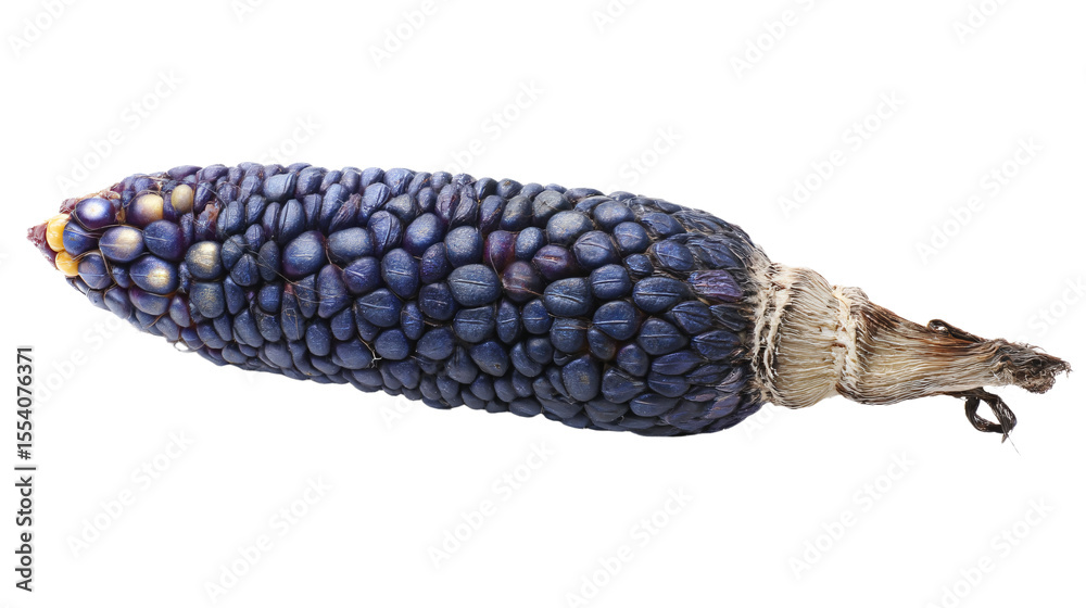 Obraz premium a corn cob with a stalk of corn on it