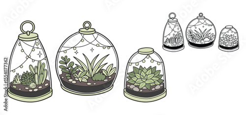 Illustration of various charming succulent terrariums with decorative fairy lights and a delightful natural botanical design.