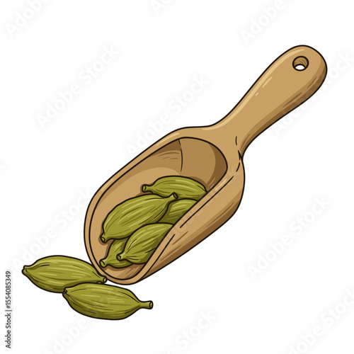 Cardamom pod scoop with green cardamom on white background  