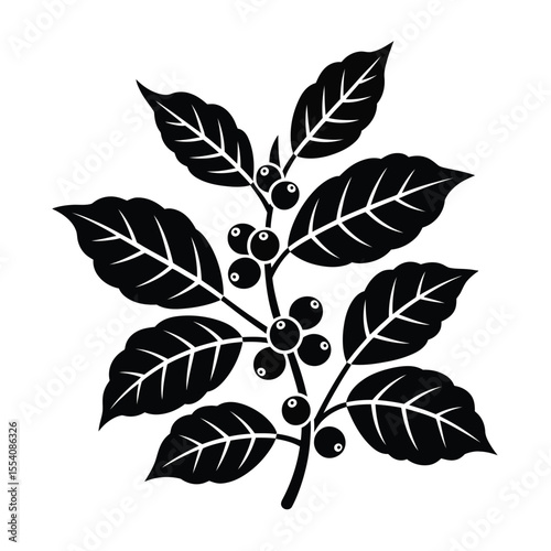 Black and white coffee plant illustration with leaves and coffee beans