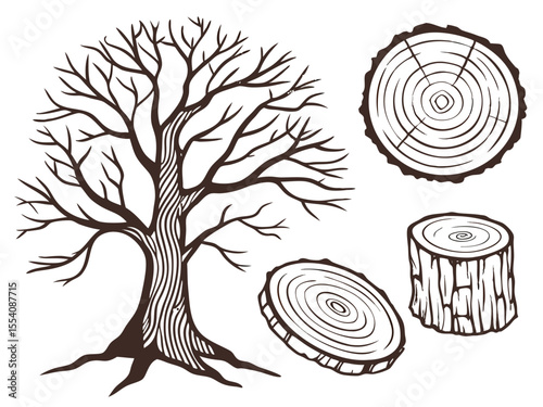 Wood Grain and Tree Cross Sections – Hand-Drawn Rustic Texture Pack