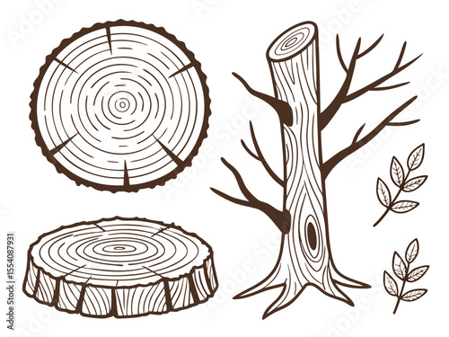 Wood Grain and Tree Cross Sections – Hand-Drawn Rustic Texture Pack