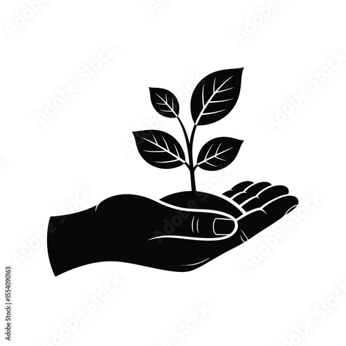 Hand Holding a Young Plant Sapling Growth