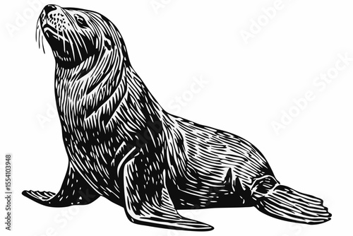 Woodcut illustration of a sea lion. Vintage grunge vector design element for artworks, poster, cards, web and collages.
