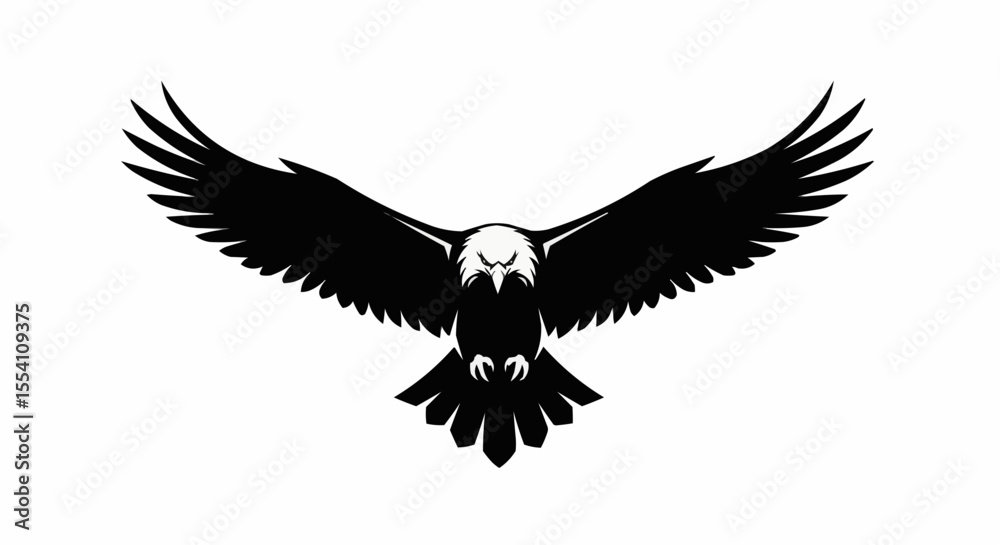 Fototapeta premium eagle in flight